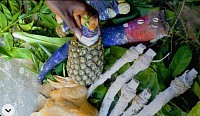 Numéro d'un puissant marabout réputé en Afrique
